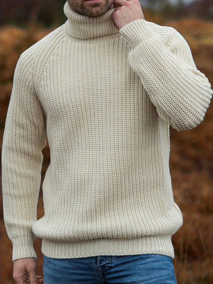 Men Solid Ribbed Turtleneck Sweater
