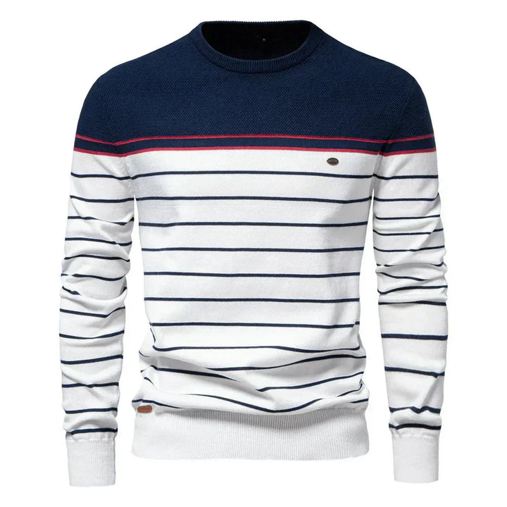 Robust Men's Sweater